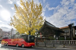 オープントップバス(提供:福岡市)
