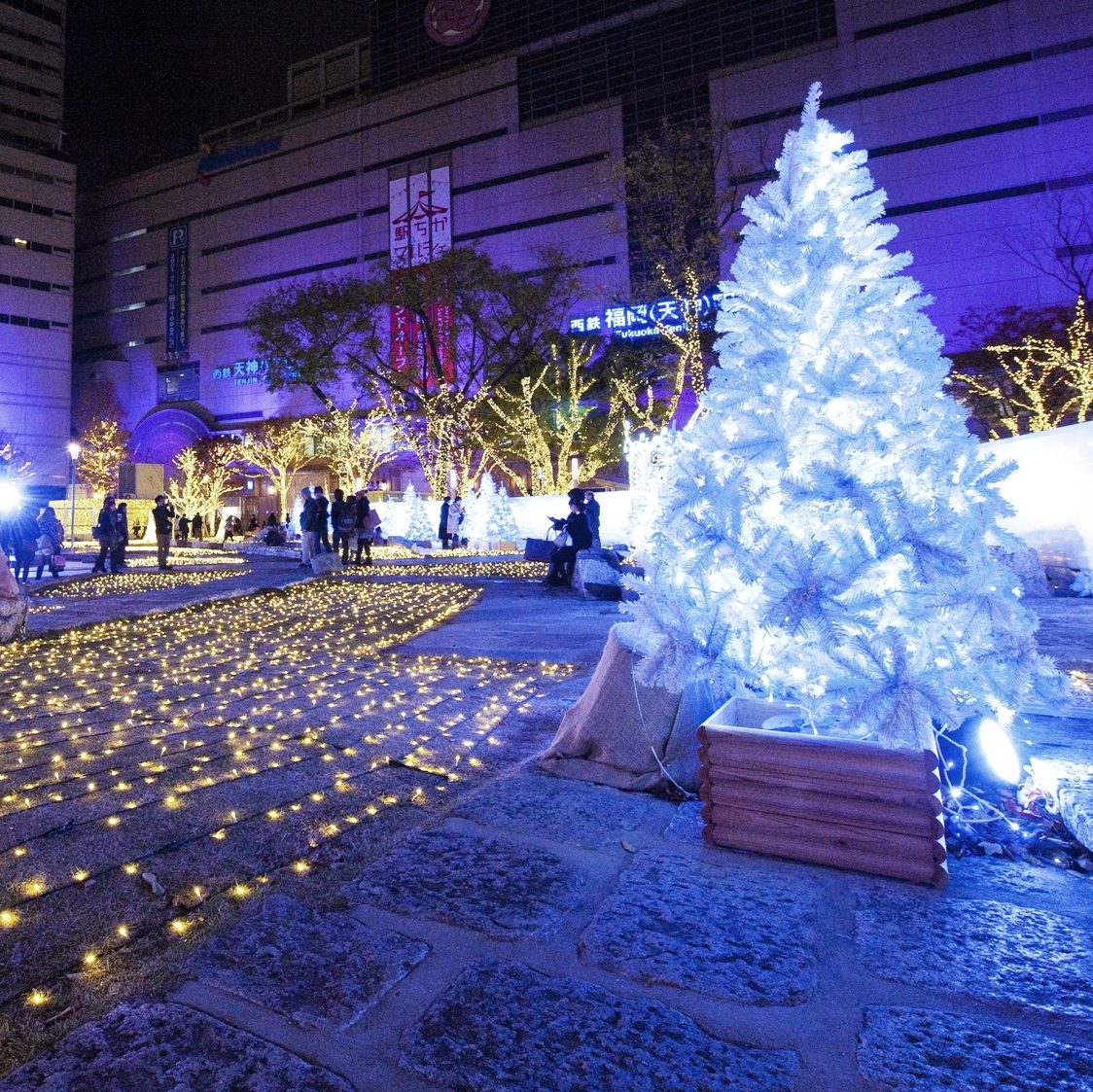 警固公園のイルミネーション TENJIN HIKARI SQUARE は 毎日24時まで点灯