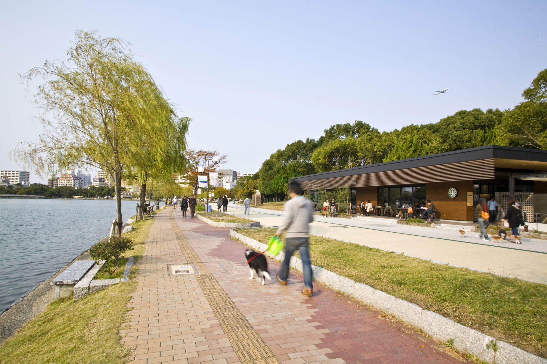 【2019年リニューアル】 福岡市美術館の提携駐車場と満車でも困らない大濠公園周辺の駐車場情報